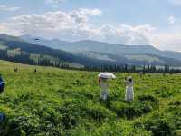 Nalati Sea of Flowers, A Summer Poem Under the Paraglider