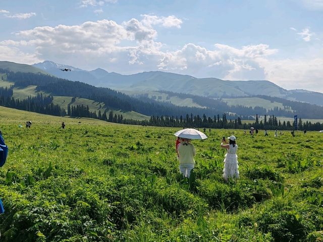 Nalati Sea of Flowers, A Summer Poem Under the Paraglider