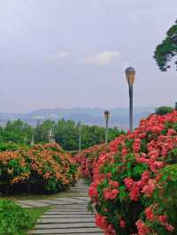 Lianhuashan Park 🌺 🍃 