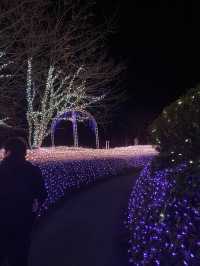 Tokyo Day Trip Idea - Kamakura and Enoshima 