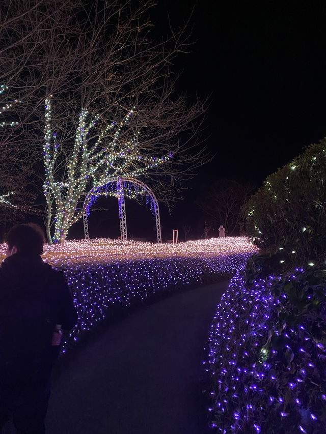 Tokyo Day Trip Idea - Kamakura and Enoshima 