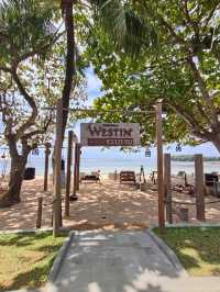🔥 Beach Body, Bali Style: My Sweaty Love Affair with the Wooden Gym by Nusa Dua 🌴