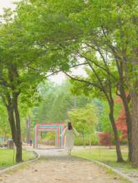 사랑 가득한 여행 하기 좋은 힐링 도시 화천🌿