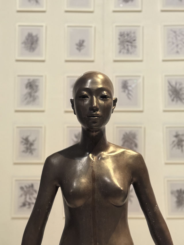 MOCAU has a must-go exhibit now! Catch it before it’s too late!