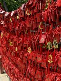 Hidden Majesty in the Heart of Beijing: Prince Gong’s Mansion 👑🌿