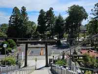 犬山 | 針綱神社，濃尾地區千年以來的守護神