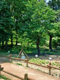 진주 여행 가이드 | 진주 수목원 (Jinju Arboretum) 