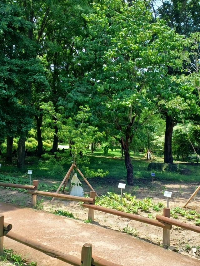 진주 여행 가이드 | 진주 수목원 (Jinju Arboretum) 