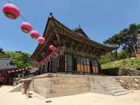 韓國大邱 清道柿子酒隧道 桐華寺