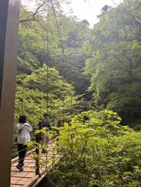Mount Takao is the perfect half‑day escape: blend nature, culture, and light adventure