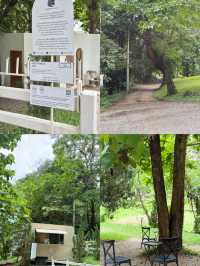 ค่าเฟ่ดังในเชียงใหม่ ฟิลเหมือนอยู่ต่างประเทศ