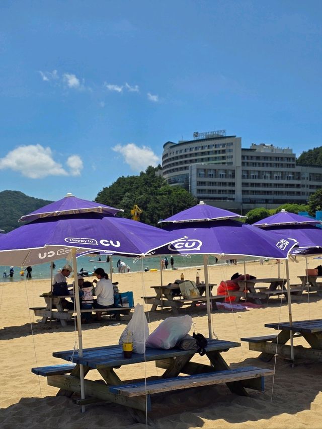 부산근교 해수욕하기 좋은 여름여행지추천🩵
