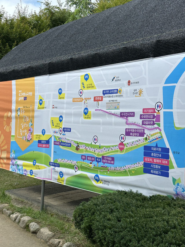 공주 수국 축제 / 유구색동 수국정원 꽃 축제💕