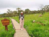 ทุ่งดอกกระเจียว อุทยานแห่งชาติป่าหินงาม