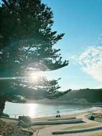 🌊🇦🇺オーストラリア: グレートオーシャンロードの絶景ドライブ2