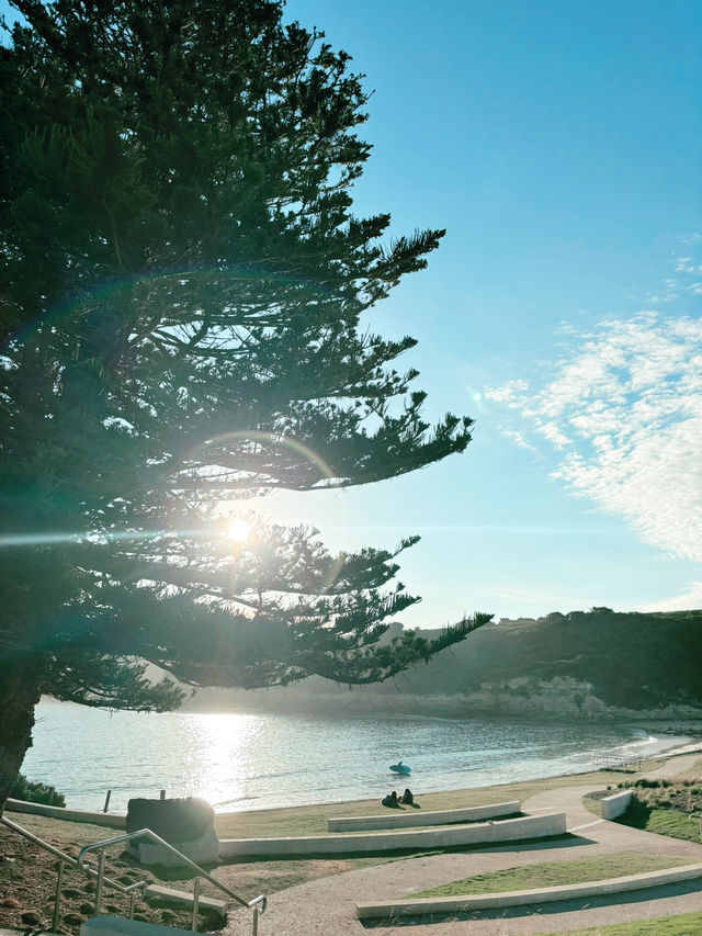 🌊🇦🇺オーストラリア: グレートオーシャンロードの絶景ドライブ2