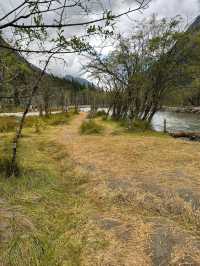 A Relaxed Journey Through Mountain Splendor