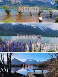 四季で巡る、南島の美しい風景たち🌸🪻🍂❄️