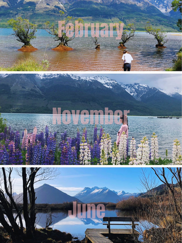 四季で巡る、南島の美しい風景たち🌸🪻🍂❄️