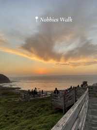 One Day Trip - ใกล้ชิดเพนกวิน, Sunset สุดโรแมนติก