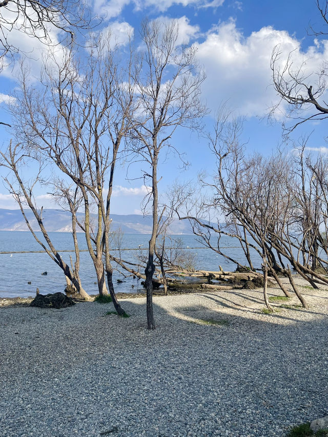🇨🇳Dali ต้าหลี่ – เมืองโบราณริมทะเลสาบ Erhai Lake