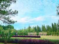 English Garden – A Touch of English Charm in Putrajaya 🌸