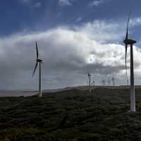 Western Australia-Wind Farm