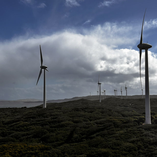 Western Australia-Wind Farm