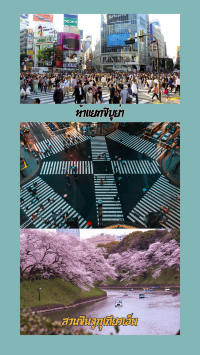 🏙 โตเกียว…เมืองที่เที่ยวได้ไม่มีเบื่อ