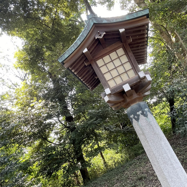 探索東京綠意：明治神宮一日遊 🌿⛩️ 