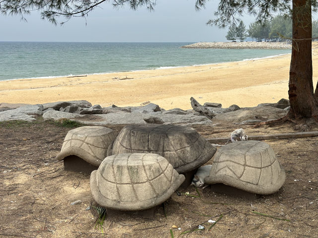 Pantai Teluk Lipat, Dungun – The Hidden Gem of Terengganu’s East Coast