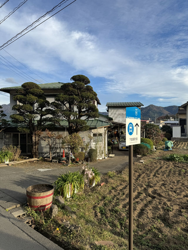 東京｜富士淺間神社｜山梨靈氣聖地｜富士山信仰的千年古祠