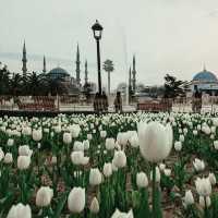 Where Heaven Meets Earth: My Solo Visit to Hagia Sophia