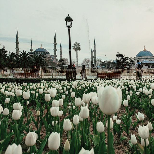 Where Heaven Meets Earth: My Solo Visit to Hagia Sophia