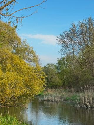 Too Good Pond Park – A Peaceful Urban Nature Retreat
