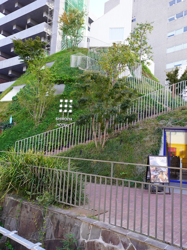 🏛 SHIROIYA the LOUNGE