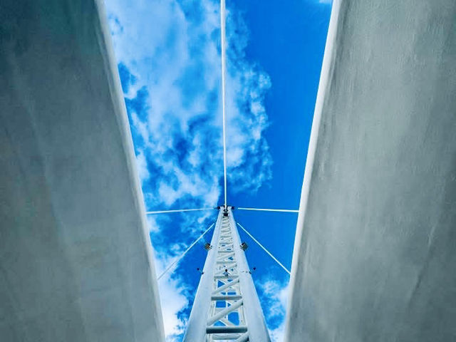 🌉「當藝術遇上海風,城市也開始呼吸。」 🌉「當藝術遇上海風,城市也開始呼吸。」
