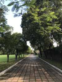 📸 Đi Đại Nội Huế – Có Gì Đáng Nhớ & Nên Dành Bao Lâu?