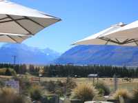 Tasman Delta Café