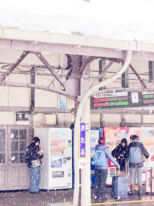 ❄️스시의 도시, ‘오타루’ 가이드 