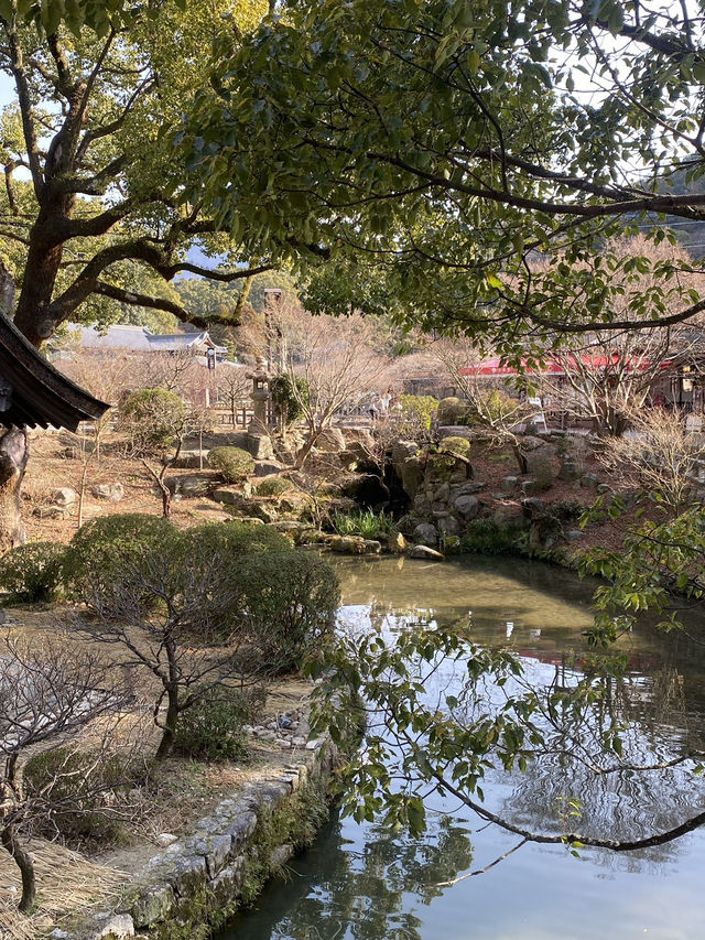 DAZAIFU- FUK