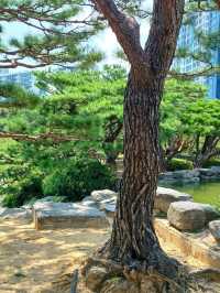 산책하기 좋은 연지공원