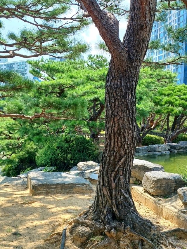 산책하기 좋은 연지공원