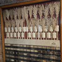 Clyston Mill – A Gentle Revival by River Clyst