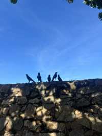 🇱🇰 斯里蘭卡：加勒（Galle） ⛱️