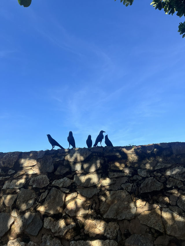 🇱🇰 斯里蘭卡：加勒（Galle） ⛱️