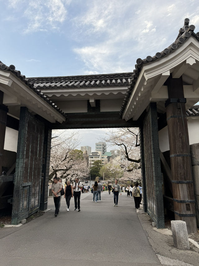 2025.03.28 櫻花季東京獨旅五天四夜行程 p6 第四天行程大公開(5.17:30千鳥淵（千鳥ヶ淵）)