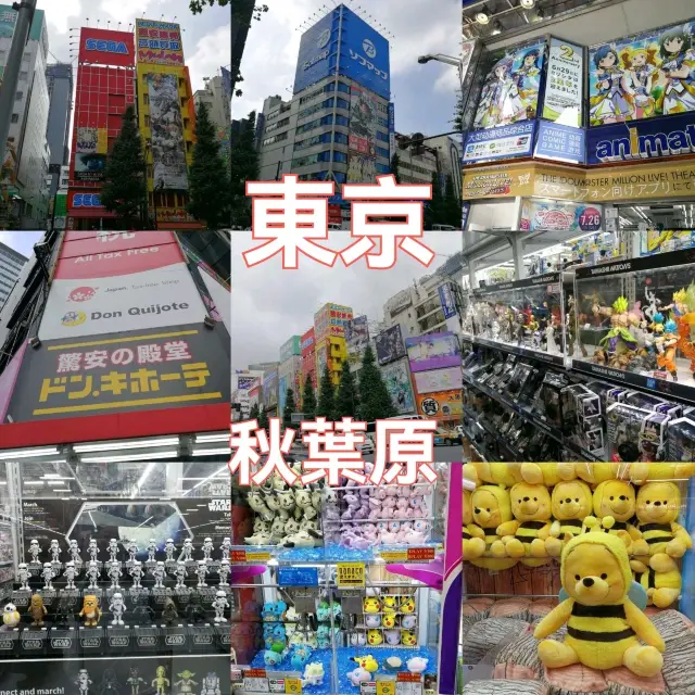 🇯🇵東京秋葉原地帶大爆逛！動漫科技迷絕不能錯過的二次元天堂🔥