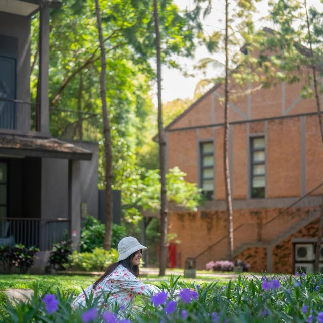 ที่พักเชียงใหม่ท่ามกลางสวนดอกไม้และขุนเขา 🌳 ที่พักเชียงใหม่ท่ามกลางสวนดอกไม้และขุนเขา 🌳