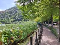 宜蘭望龍埤|親子踏青秘境,湖光山色悠閒遊